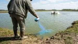 AI-generated representative image showing blue pond dye being: The wider industry impact