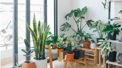 Instead, try growing plants that naturally keep pests away around your garden, patio, or near