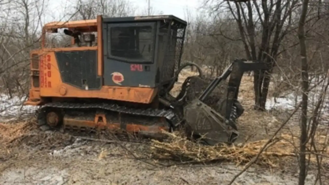 Illinois volunteers removed invasive plants from 43 acres; they then planted nearly 9,000 native