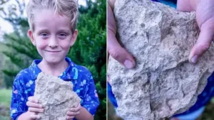 A 6-year-old Nebraska boy found a rare 200-million-year-old marine: The wider industry impact