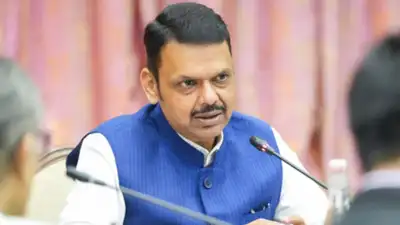 Maharashtra chief minister Devendra Fadnavis has revealed plans for a significant chemical park