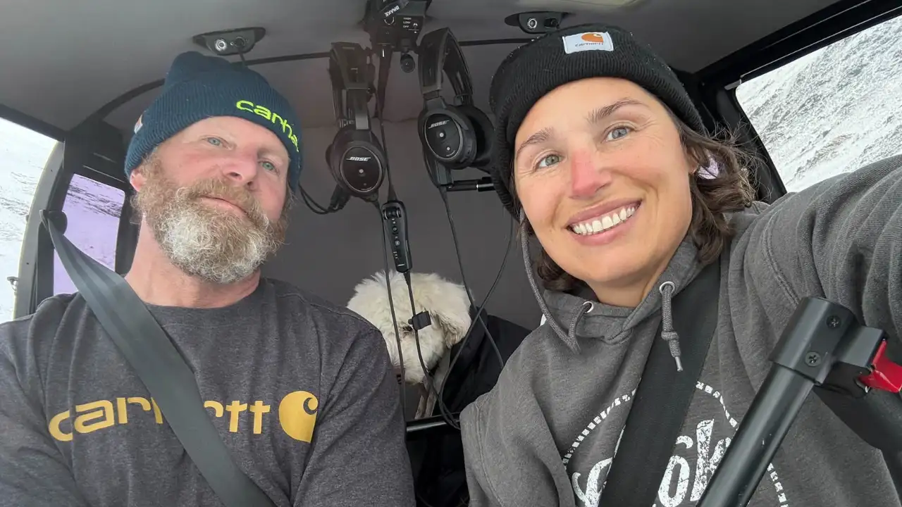 Dog survives 50 hours alone in Alaska wilderness after avalanche: The wider industry impact