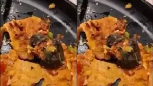 How Mumbai food row turned into extortion case — A video of rat in dosa, licence suspended, Rs 25