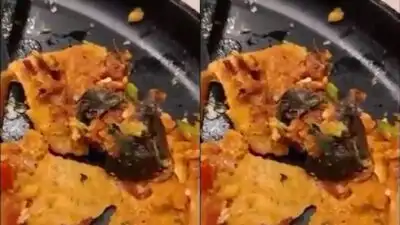 How Mumbai food row turned into extortion case — A video of rat in dosa, licence suspended, Rs 25