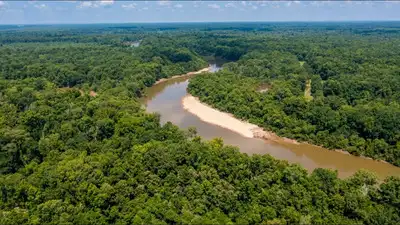 A 2,600-acre South Carolina timber property at the rivers where: The wider industry impact