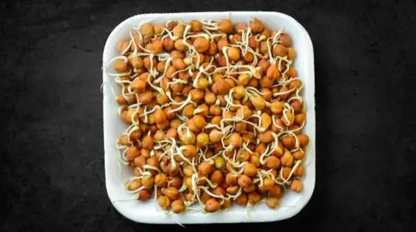 Sprouts and microgreens are two popular ways to grow your own food at home, and people often