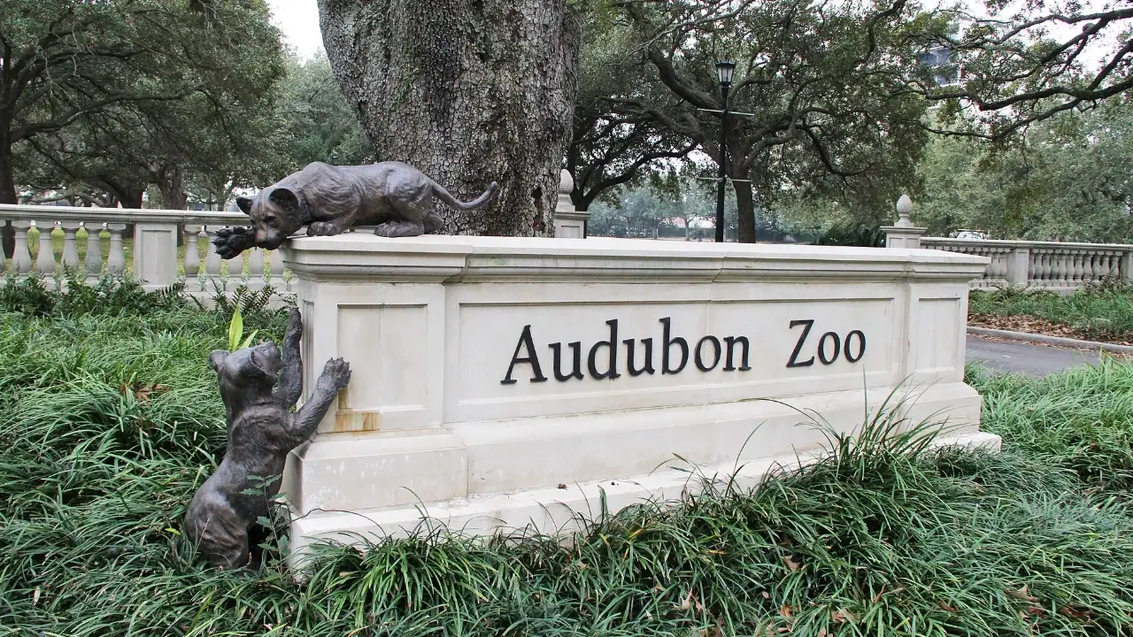 In 2005, as Hurricane Katrina hit New Orleans, an Audubon Zoo curator and 11 staff members stayed