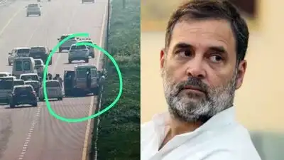 SIT formed to probe accident involving vehicles behind Rahul Gandhi's convoy in Sultanpur