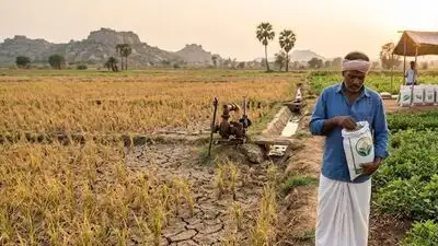 Telangana govt's crop switch runs into a monkey trap — A wild hurdle
