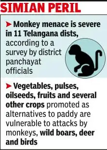 Telangana govt's crop switch runs into a monkey trap — A wild hurdle