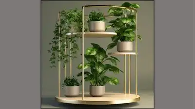 Keeping certain plants can activate the southeast "wealth corner" of the house that works