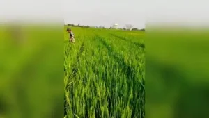 Chennai: Even as TVK govt announced a series of measures to increase: The wider industry impact