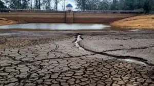 Coonoor confronts acute water shortage as Ralliah dam dries up: The wider industry impact