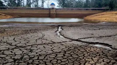 Coonoor confronts acute water shortage as Ralliah dam dries up: The wider industry impact