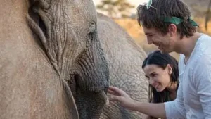 Demi Moore and Ashton Kutcher visited the David Sheldrick Wildlife: The wider industry impact