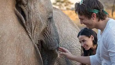 Demi Moore and Ashton Kutcher visited the David Sheldrick Wildlife: The wider industry impact