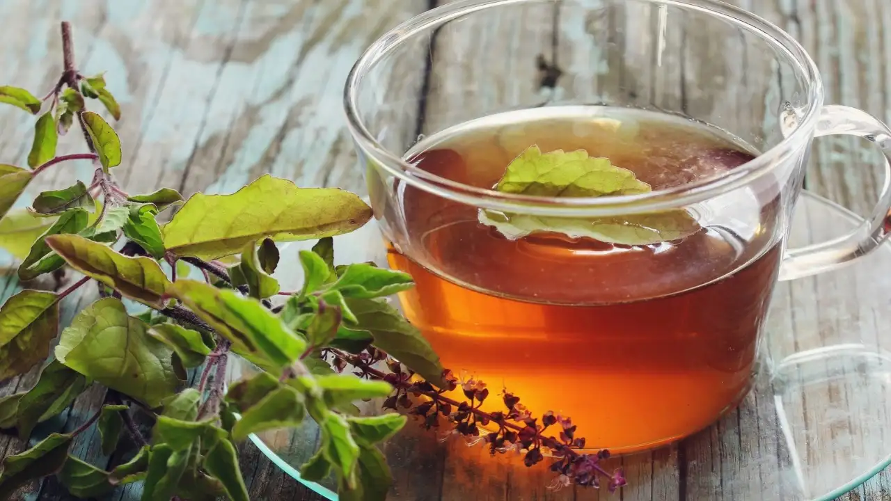 Tulsi, also known as holy basil, is a plant that, in most Hindu cultures, is worshipped