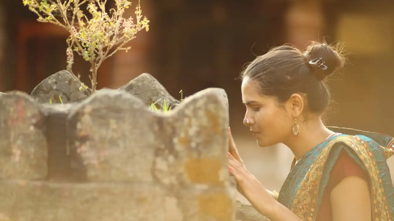 Tulsi, also known as holy basil, is a plant that, in most Hindu cultures, is worshipped