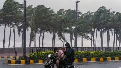 Jharkhand is likely to receive heavy to very heavy rain, while: The wider industry impact