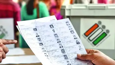 All 10,470 approved entries were found irregular