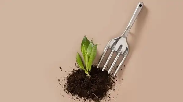 Before it goes in the bin, it’s worth knowing that a fork is a surprisingly good garden tool