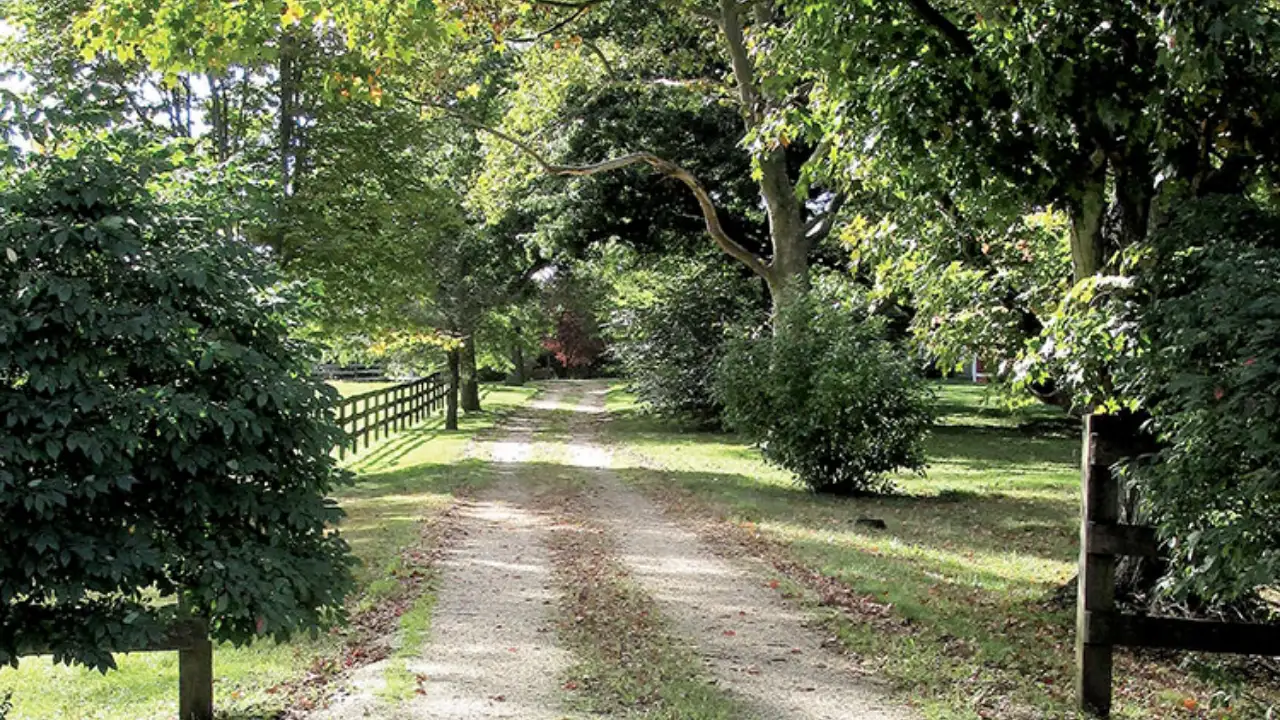 Jon Stewart, wife Tracey paid $4m for 45-acre NJ farm; now grows crops, rescues animals Image