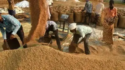 Rice price nears 100/kg, Karnataka farmers seek 2tmcft 'water loan': The wider industry impact