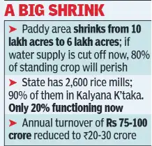 Rice price nears 100/kg, Karnataka farmers seek 2tmcft 'water loan': The wider industry impact