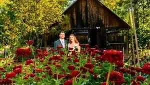 A Maine couple grew their own wedding flowers in a 30-by-50-foot: The wider industry impact