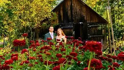 A Maine couple grew their own wedding flowers in a 30-by-50-foot: The wider industry impact