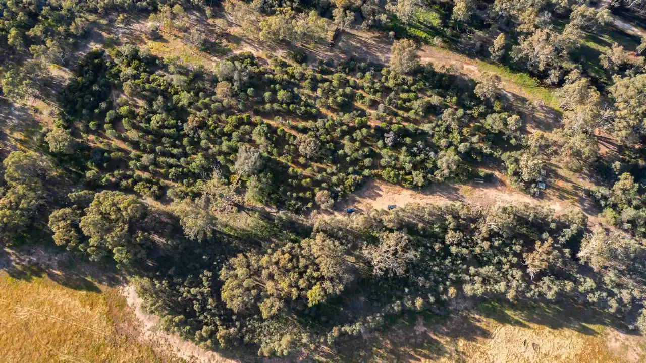 About 120 hectares have been restored, around 45,000 native: The wider industry impact