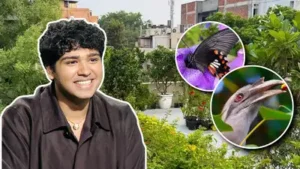 “If you plant three types of plants, your home can also become an urban jungle,” he argues