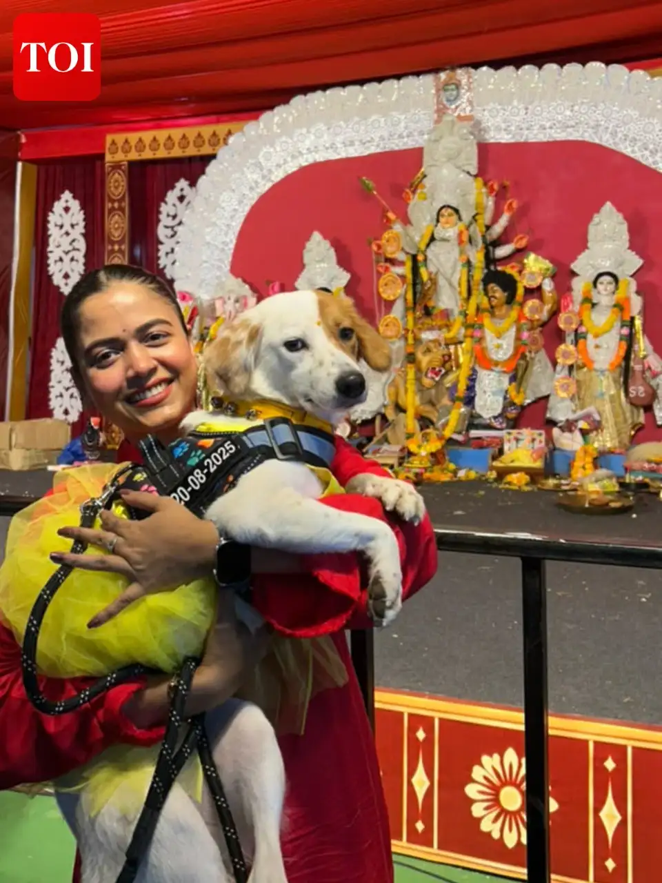 Wagging tails, festive finery and pandal-hopping — pets are finding their place in Hyderabad’s