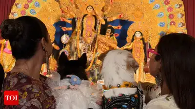 Wagging tails, festive finery and pandal-hopping — pets are finding their place in Hyderabad’s