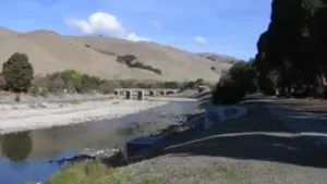 In the 1970s, California's Niles Cone groundwater basin needed: The wider industry impact