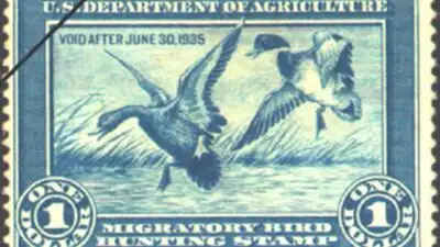 More than nine decades later, the Federal Duck Stamp has raised over $1.3 billion and helped