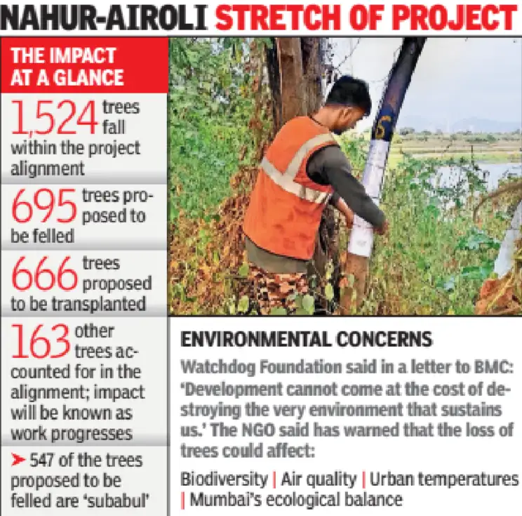 GMLR Phase IV: 695 trees confronts axe, 666 relocation: The wider industry impact
