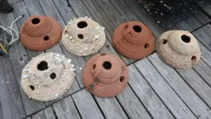 US engineers turn dredged river sediment into 3D-printed oyster: The wider industry impact