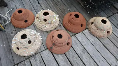 US engineers turn dredged river sediment into 3D-printed oyster: The wider industry impact