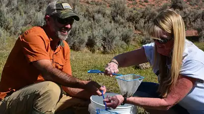 Four years of brown trout elimination and six years of monitoring: The wider industry impact