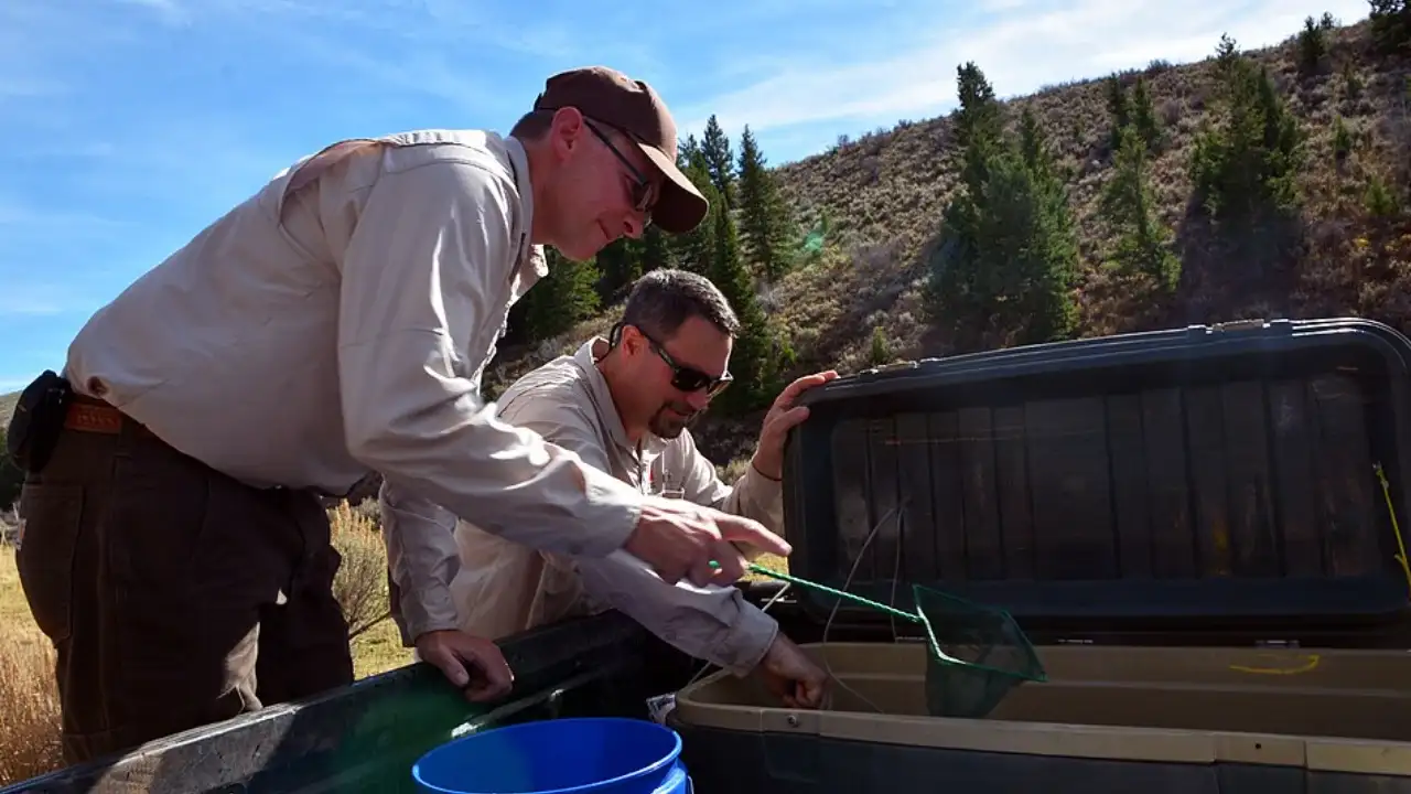 Four years of brown trout elimination and six years of monitoring: The wider industry impact