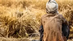 Maharashtra witnessed a staggering 14,000 farmer suicides (Representative image)