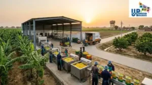 From Agricultural Strength to Economic Diversification: The wider industry impact