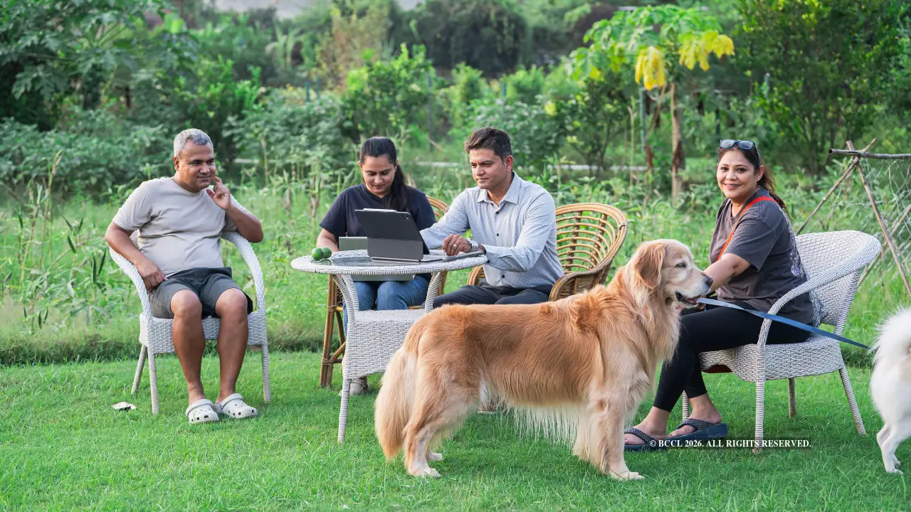Weekend farmers find their patch of peace in NCR: The wider industry impact