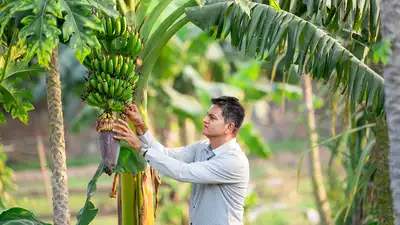 Weekend farmers find their patch of peace in NCR: The wider industry impact