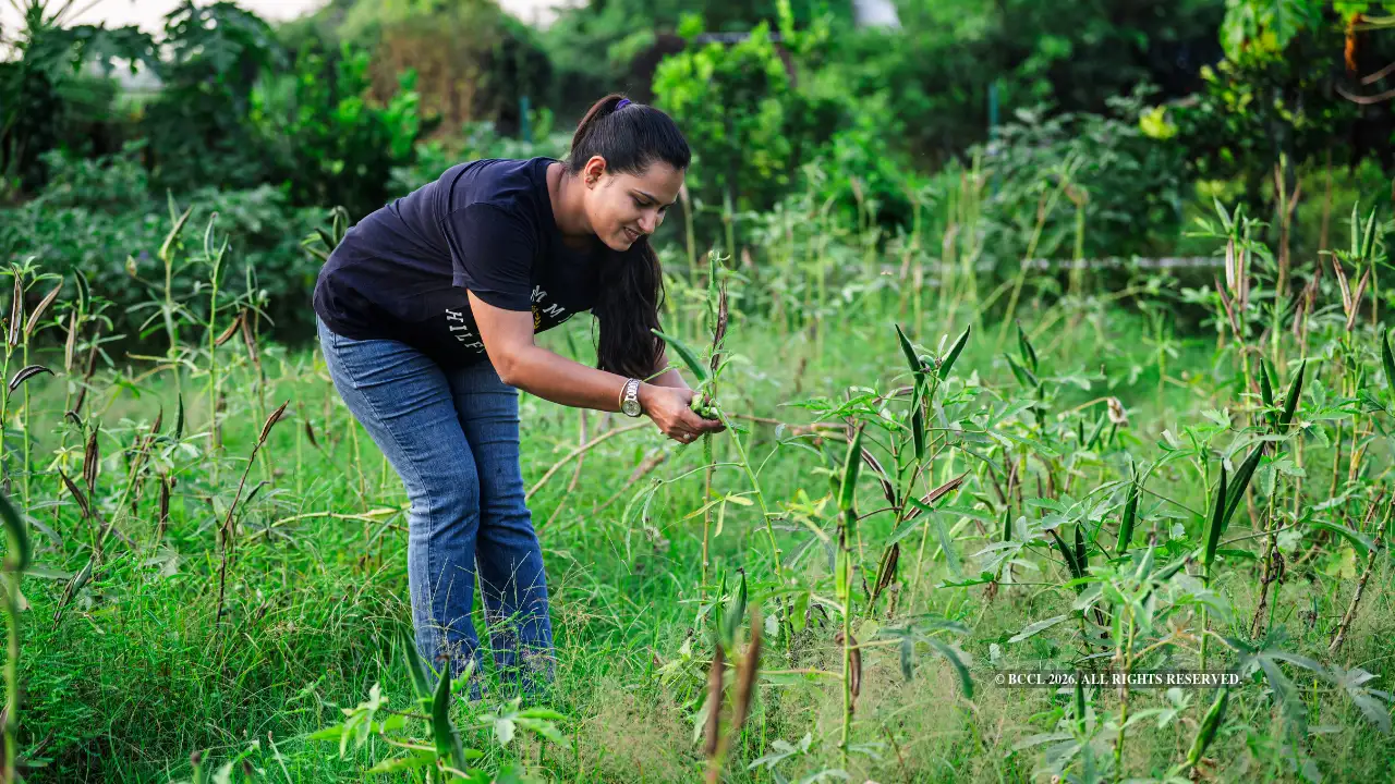 Weekend farmers find their patch of peace in NCR: The wider industry impact