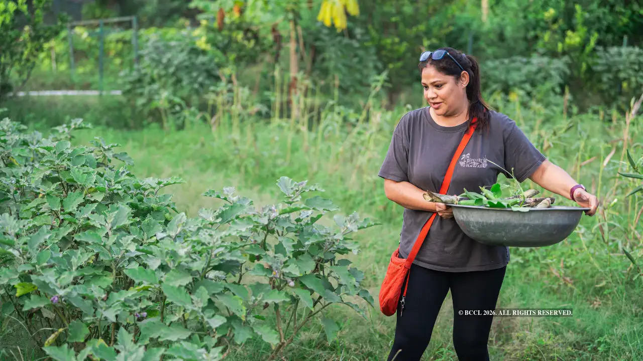Weekend farmers find their patch of peace in NCR: The wider industry impact
