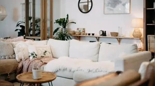 Couch cushions quietly absorb a lot, from crumbs and dust to spilled tea, sweat and pet hair