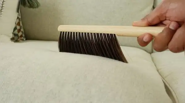 Couch cushions quietly absorb a lot, from crumbs and dust to spilled tea, sweat and pet hair