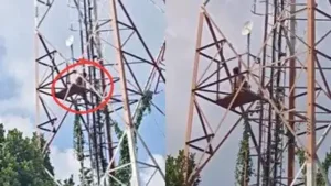 Bengaluru newlywed climbs mobile tower twice, sits on road as husband goes missing